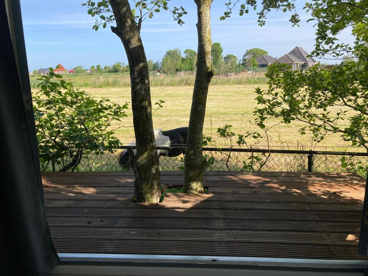 Het Oude Strandhuis Uitgeest Exteriér fotografie